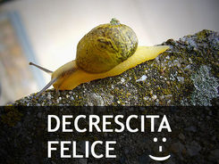 decrescita-felice-pallante.jpg