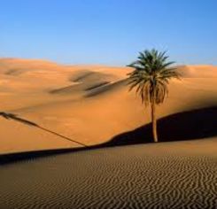 deserto.bmp